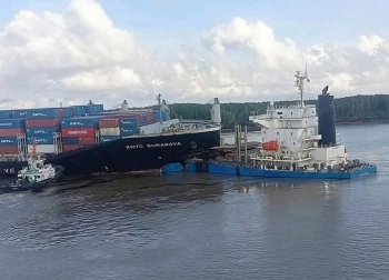Nhiều gia đình nuôi thủy sản bị ảnh hưởng sau sự cố tàu hàng tông nhau trên sông Lòng Tàu