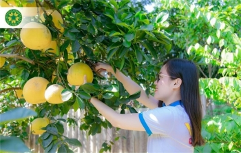 Học viện Nông nghiệp Việt Nam giành 1.800 suất học bổng trị giá gần 30 tỷ đồng cho tân sinh viên