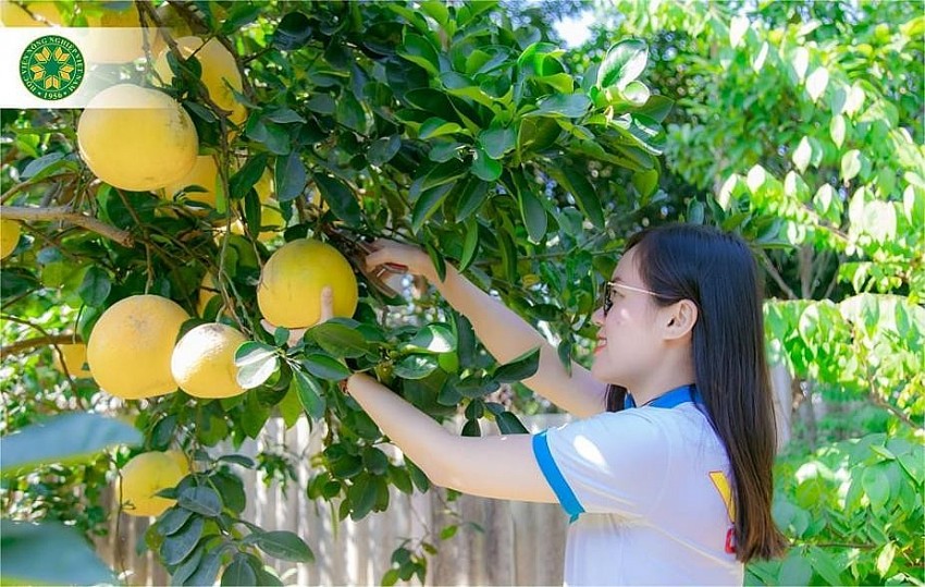 Học viện Nông nghiệp Việt Nam giành 1.800 suất học bổng trị giá gần 30 tỷ đồng cho tân sinh viên