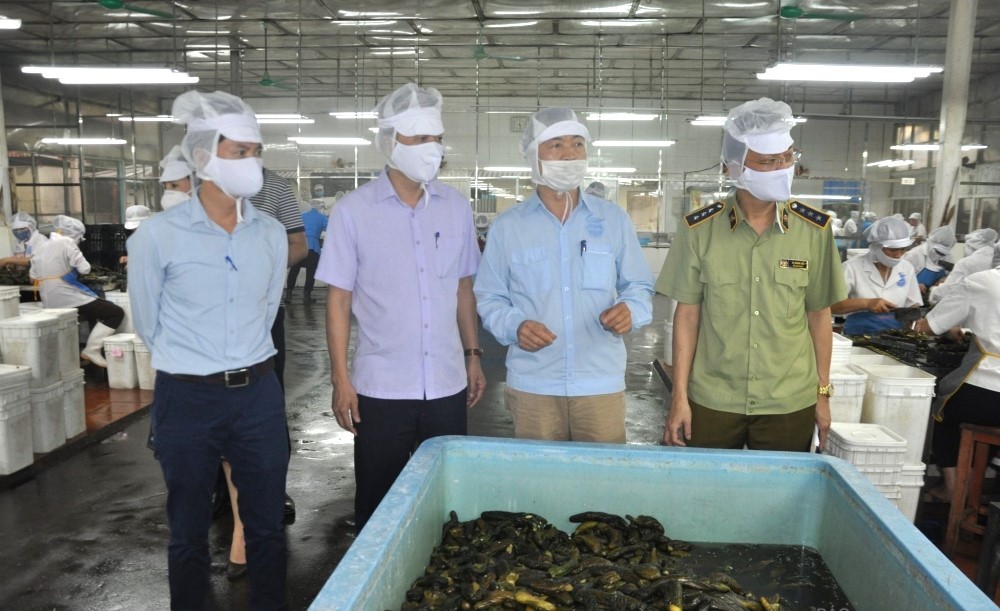 Thực phẩm giả và kém chất lượng nỗi lo không của riêng ai