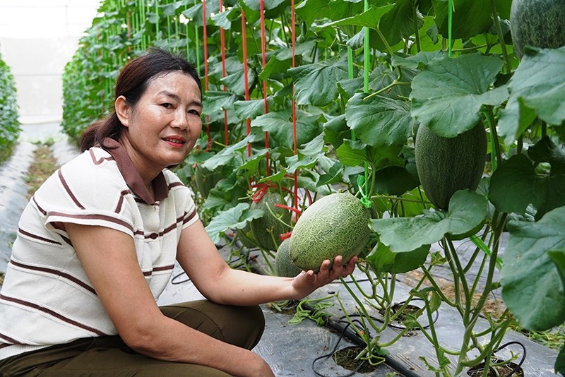 Tiêu chuẩn Organic vì một nền Nông nghiệp phát triển bền vững