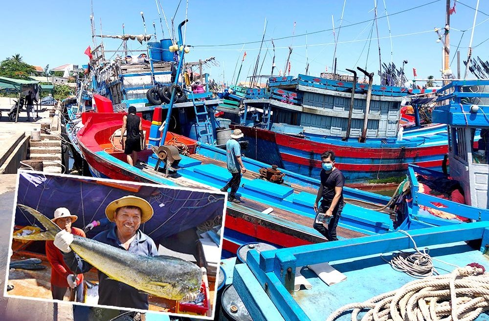 Thẻ vàng, thẻ đỏ trong khai thác hải sản: Biện pháp bảo vệ đại dương
