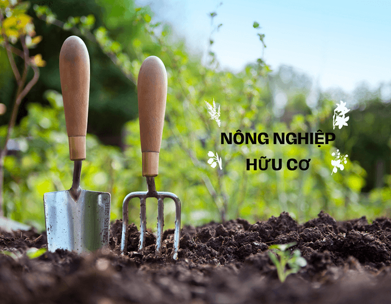 Vì sao người sản xuất khó đạt chứng nhận hữu cơ?