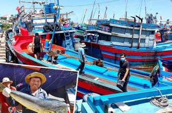 Thẻ vàng, thẻ đỏ trong khai thác hải sản: Biện pháp bảo vệ đại dương