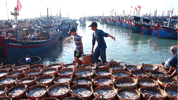 Thẻ vàng, thẻ đỏ trong khai thác hải sản: Biện pháp bảo vệ đại dương