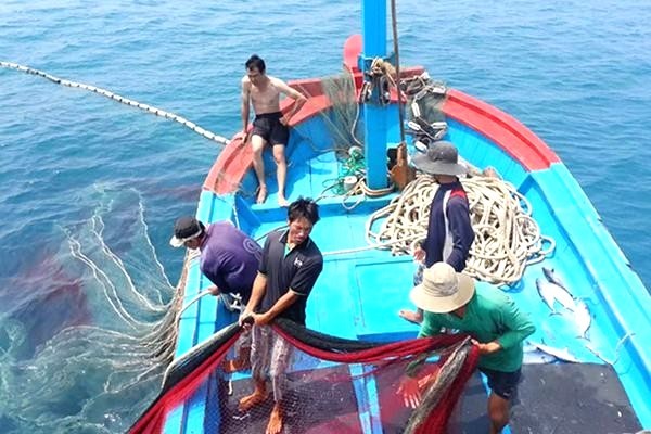 Thẻ vàng, thẻ đỏ trong khai thác hải sản: Biện pháp bảo vệ đại dương