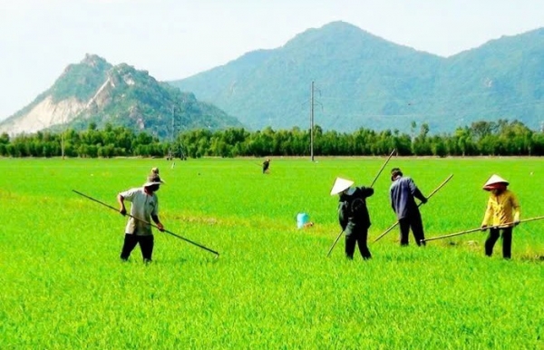 Chính sách đất đai giữ vai trò quan trọng trong việc định hướng và thúc đẩy nông nghiệp bền vững