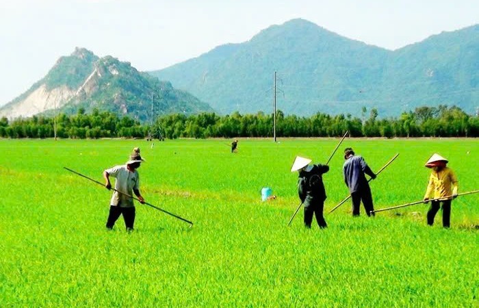 Chính sách đất đai giữ vai trò quan trọng trong việc định hướng và thúc đẩy nông nghiệp bền vững