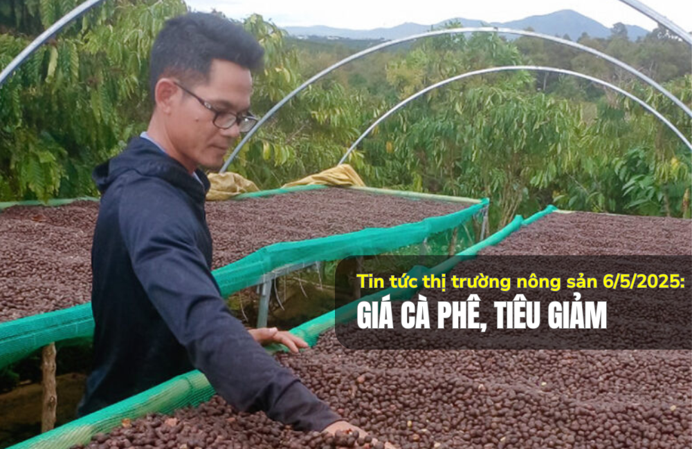 Tin tức thị trường nông sản 06/5/2025: Giá cà phê, tiêu giảm
