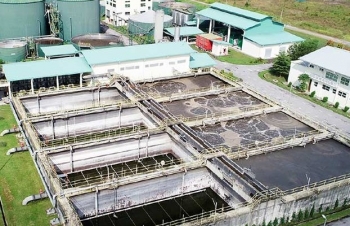 Nước thải chăn nuôi: Gánh nặng môi trường và bài toán phát triển bền vững