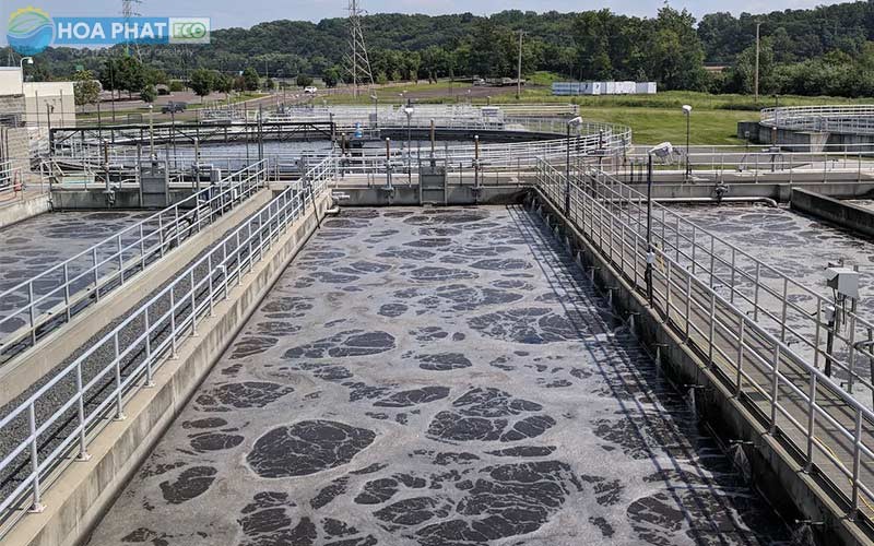 Nước thải chăn nuôi: Gánh nặng môi trường và bài toán phát triển bền vững