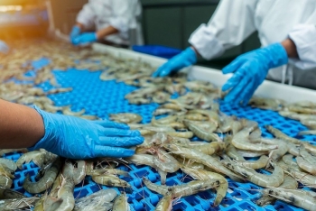 Xuất khẩu nông, lâm thuỷ sản 4 tháng đầu năm 2025 tăng 10,7% đạt 21,15 tỷ USD