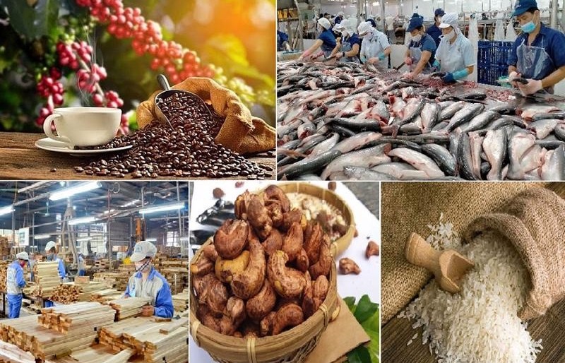 Hơn 100.000 tỷ đồng được vay ưu đãi với lĩnh vực nông, lâm, thủy sản
