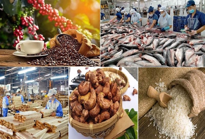 Hơn 100.000 tỷ đồng được vay ưu đãi với lĩnh vực nông, lâm, thủy sản