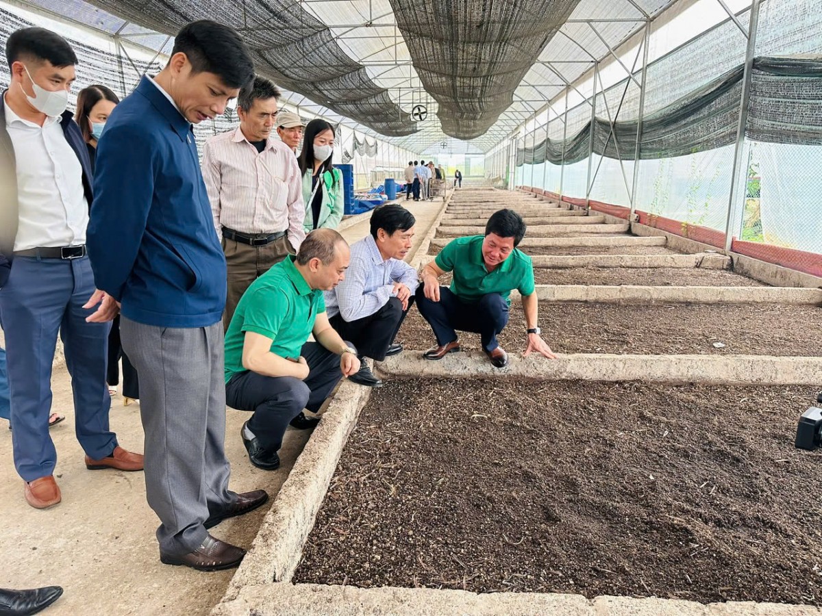 Nhiều điểm sáng trong bảo vệ môi trường ở Thanh Hóa