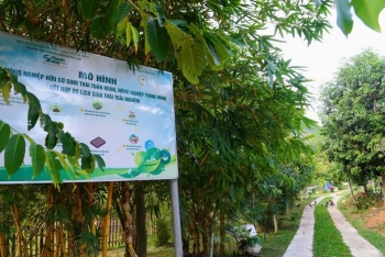 Những hành vi gây hại đến nông nghiệp hữu cơ của con người