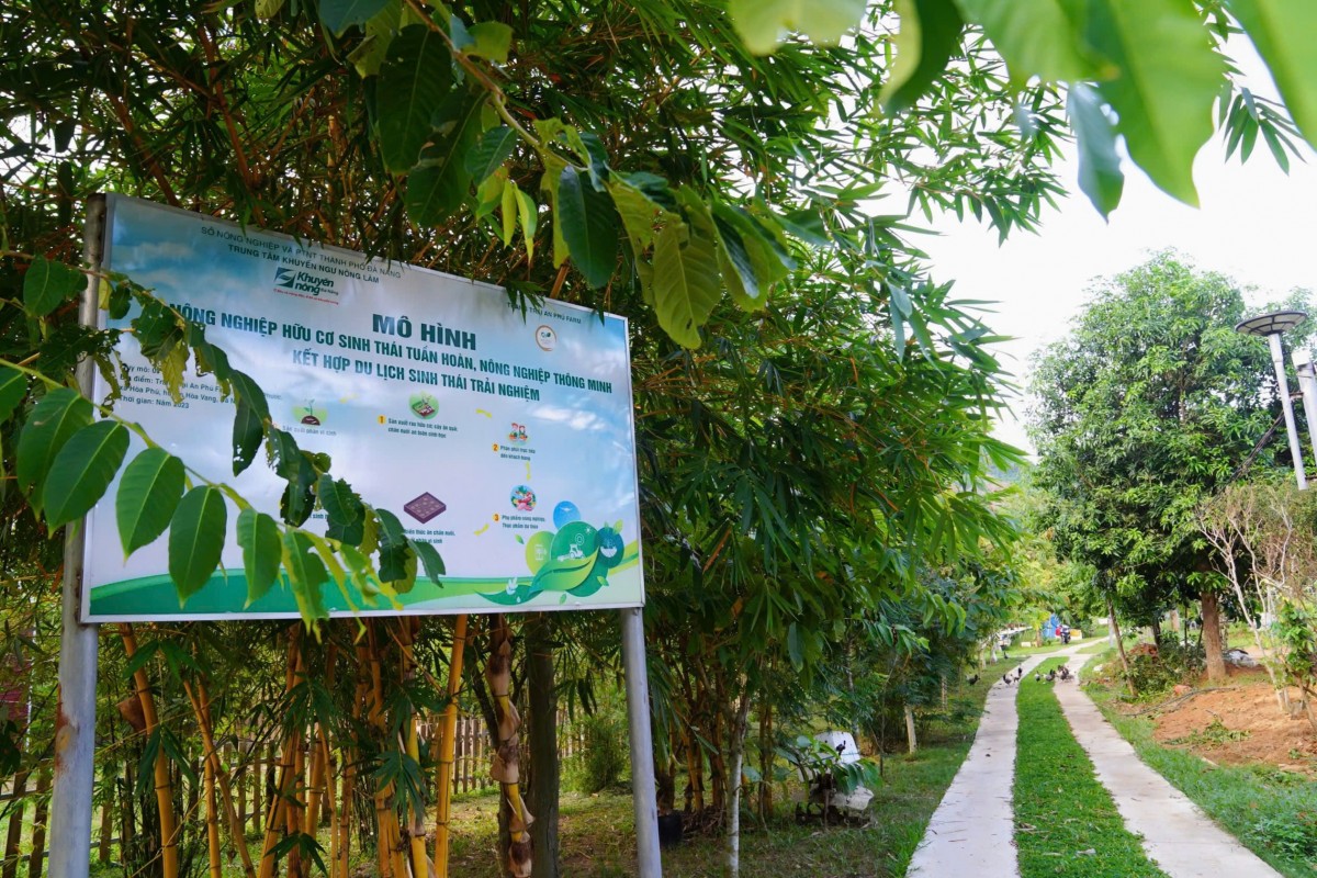 Những hành vi gây hại đến nông nghiệp hữu cơ của con người