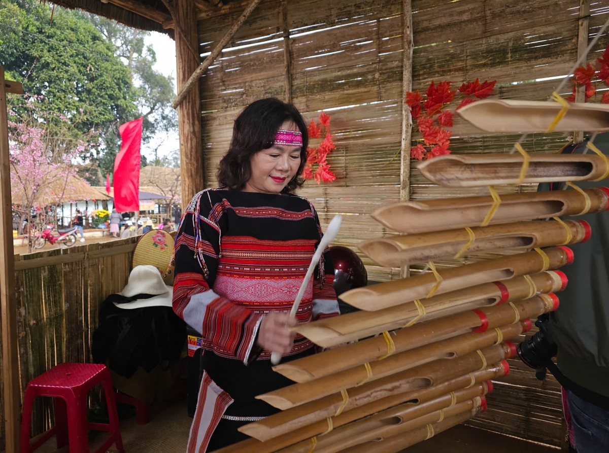 Lập đề án bảo tồn và phát triển làng nghề dệt thổ cẩm truyền thống của đồng bào Ba Na