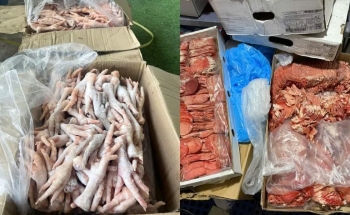 Lâm Đồng: Xử lý vụ hơn 2,5 tấn thực phẩm đông lạnh không rõ nguồn gốc