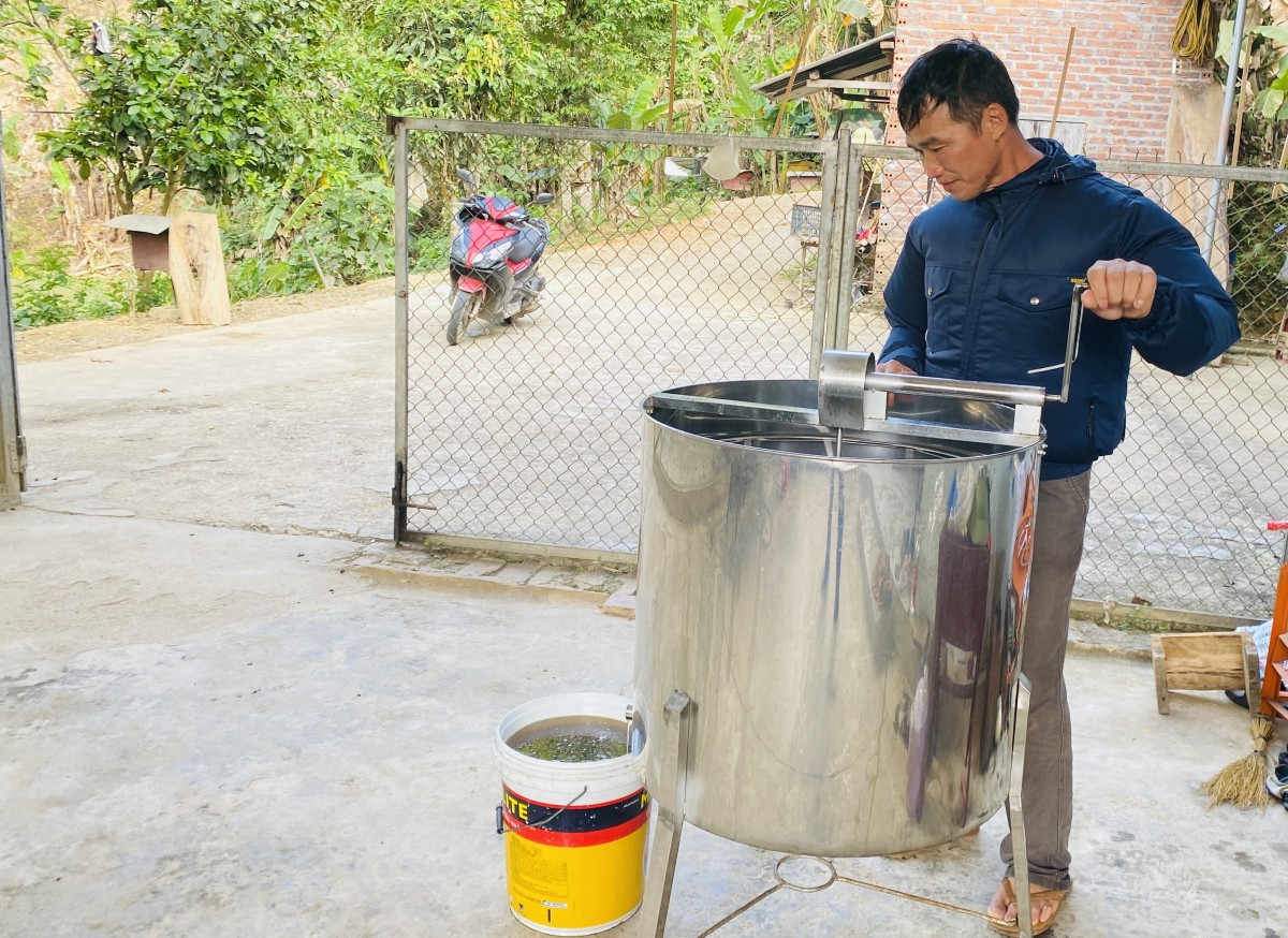 Liên kết sản xuất nâng tầm giá trị nghề nuôi ong lấy mật