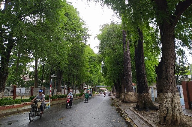 Rừng trong phố và đa dạng sinh học ở Trà Vinh