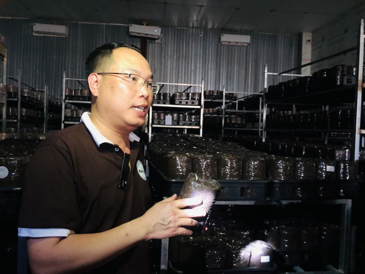 Anh Mai Văn Hưng - Tổng giám đốc Nấm Tốt Nameco giới thiệu về quy trình làm nấm. Ảnh: Duy Khánh