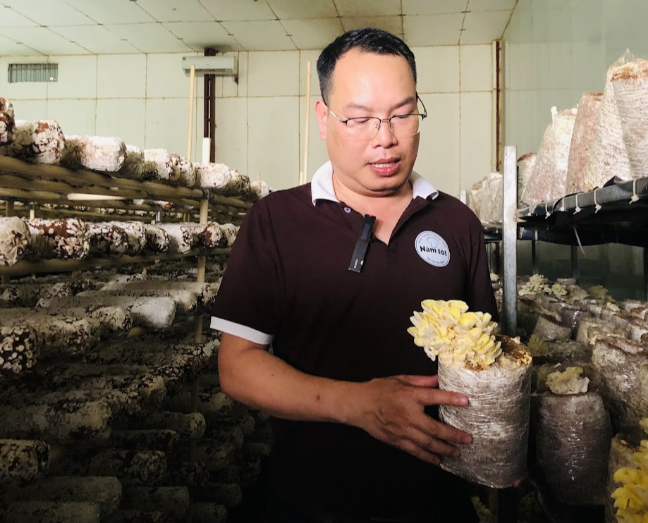 Anh Mai Văn Hưng với sản phẩm nấm hữu cơ. Ảnh: Duy Khánh