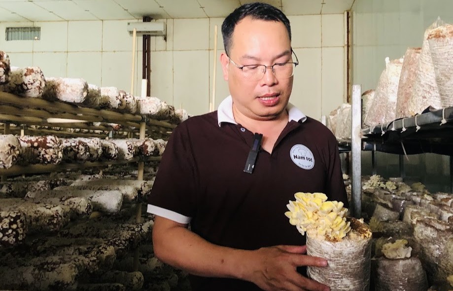 Sản xuất nông nghiệp hữu cơ: Còn lắm những gian nan