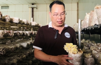 Sản xuất nông nghiệp hữu cơ: Còn lắm những gian nan