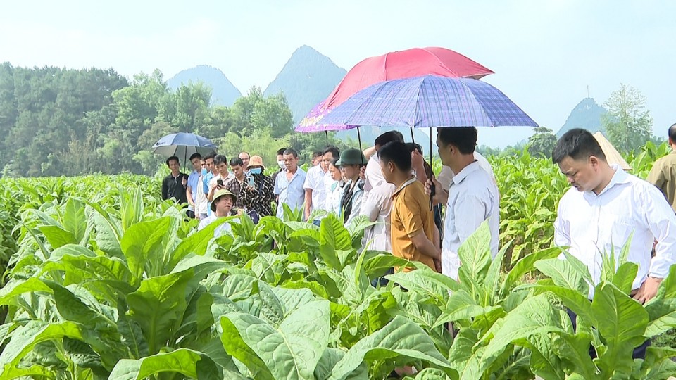 Cao Bằng: Giải ngân Chương trình mục tiêu quốc gia mới đạt 11,86% kế hoạch