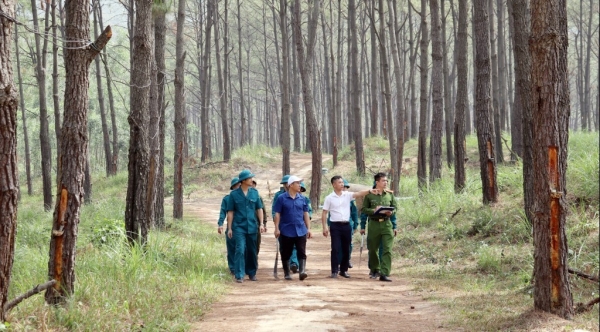 Quảng Ninh: Góp sức thực hiện Đề án “Trồng 1 tỷ cây xanh giai đoạn 2021- 2025”