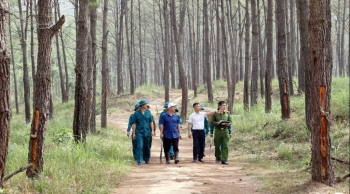 Quảng Ninh: Góp sức thực hiện Đề án “Trồng 1 tỷ cây xanh giai đoạn 2021- 2025”