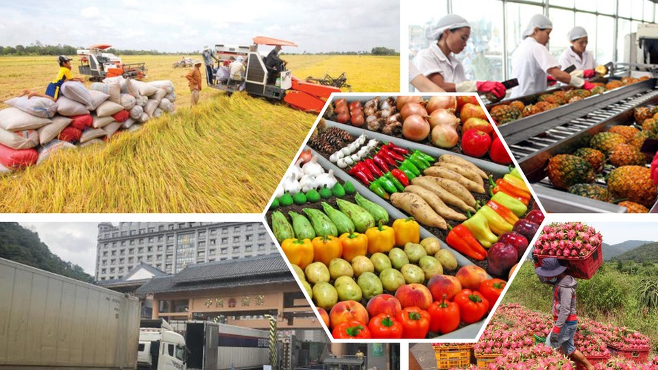 Tập trung các giải pháp xuất khẩu nông lâm thủy sản trong bối cảnh biến động thương mại toàn cầu