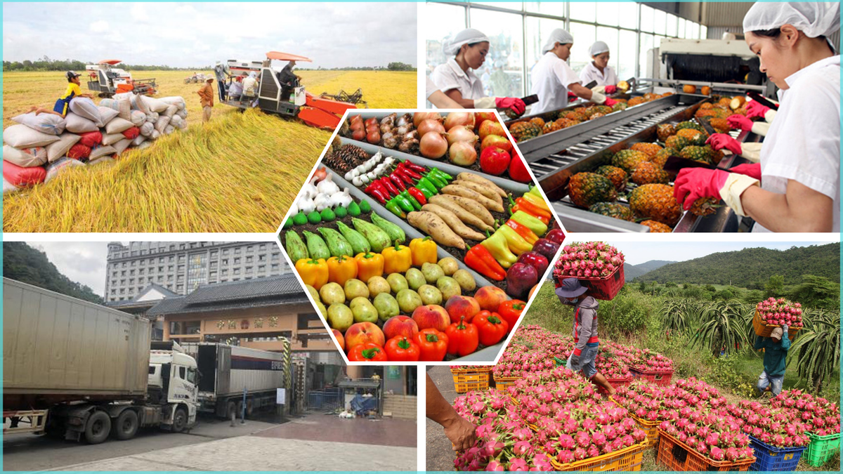 Tập trung các giải pháp xuất khẩu nông lâm thủy sản trong bối cảnh biến động thương mại toàn cầu