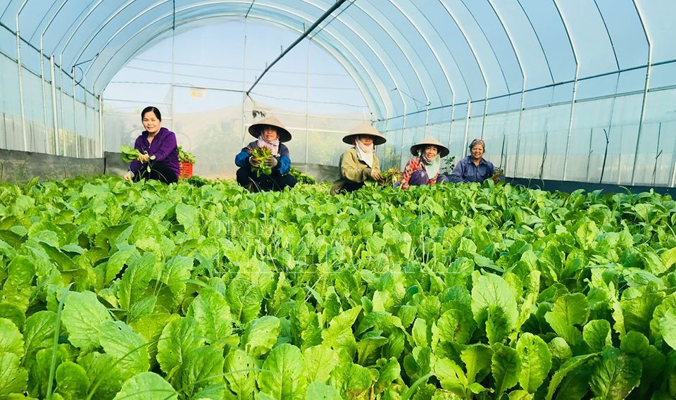 Con người là nhân tố trung tâm trong việc phát triển sản xuất nông nghiệp hữu cơ