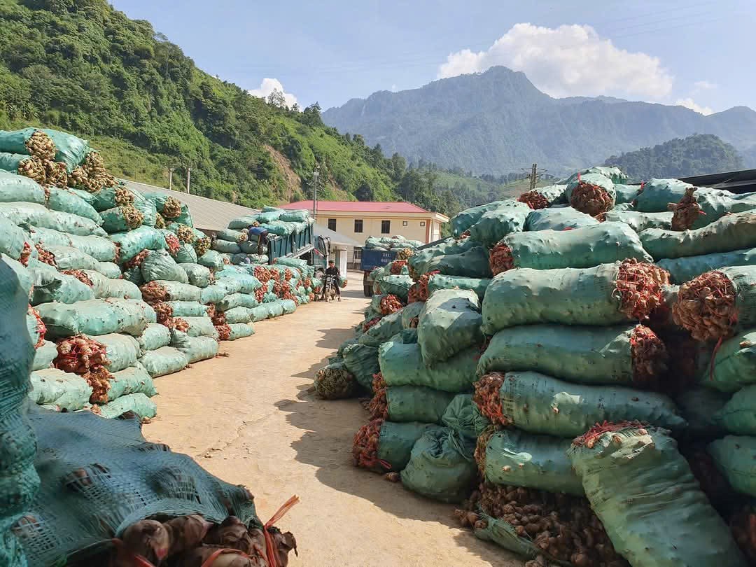 “Chắp cánh” cho nông dân nghèo 