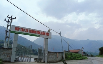 “Chắp cánh” cho nông dân nghèo "vươn mình" thành triệu phú