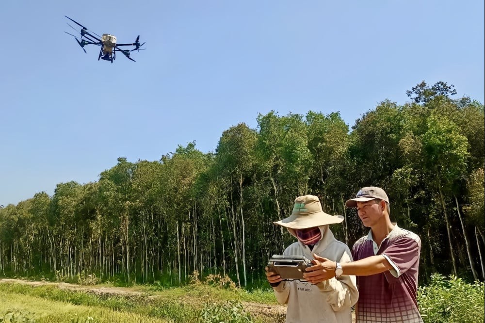 Nông dân Long An "hái ra tiền" nhờ sử dụng máy bay không người lái