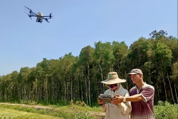 Nông dân Long An "hái ra tiền" nhờ sử dụng máy bay không người lái