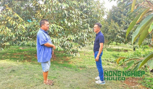 Đắk Nông: Hỗ trợ người dân chuyển đổi từ canh tác truyền thống sang hữu cơ