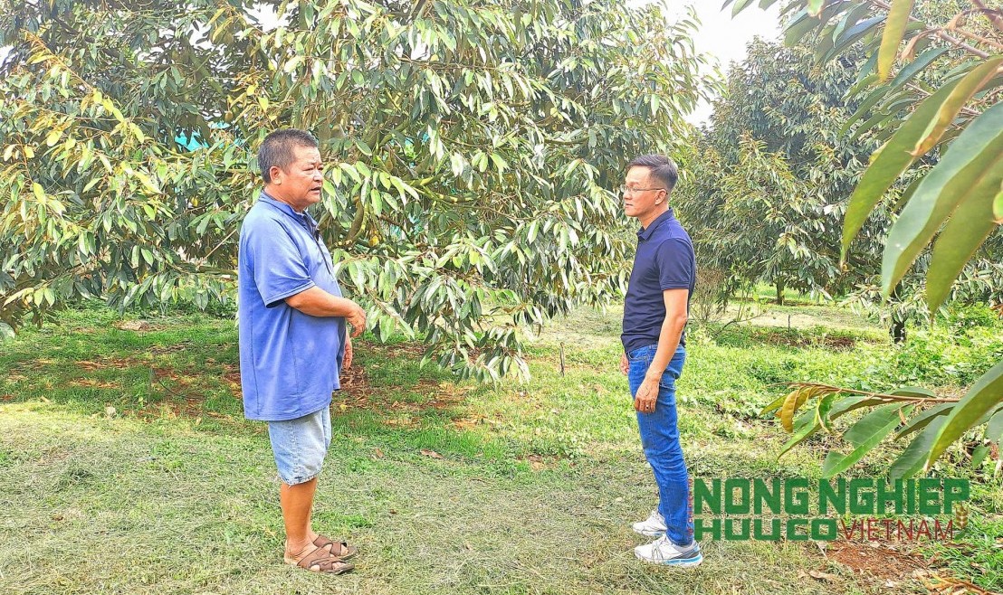 Đắk Nông: Hỗ trợ người dân chuyển đổi từ canh tác truyền thống sang hữu cơ