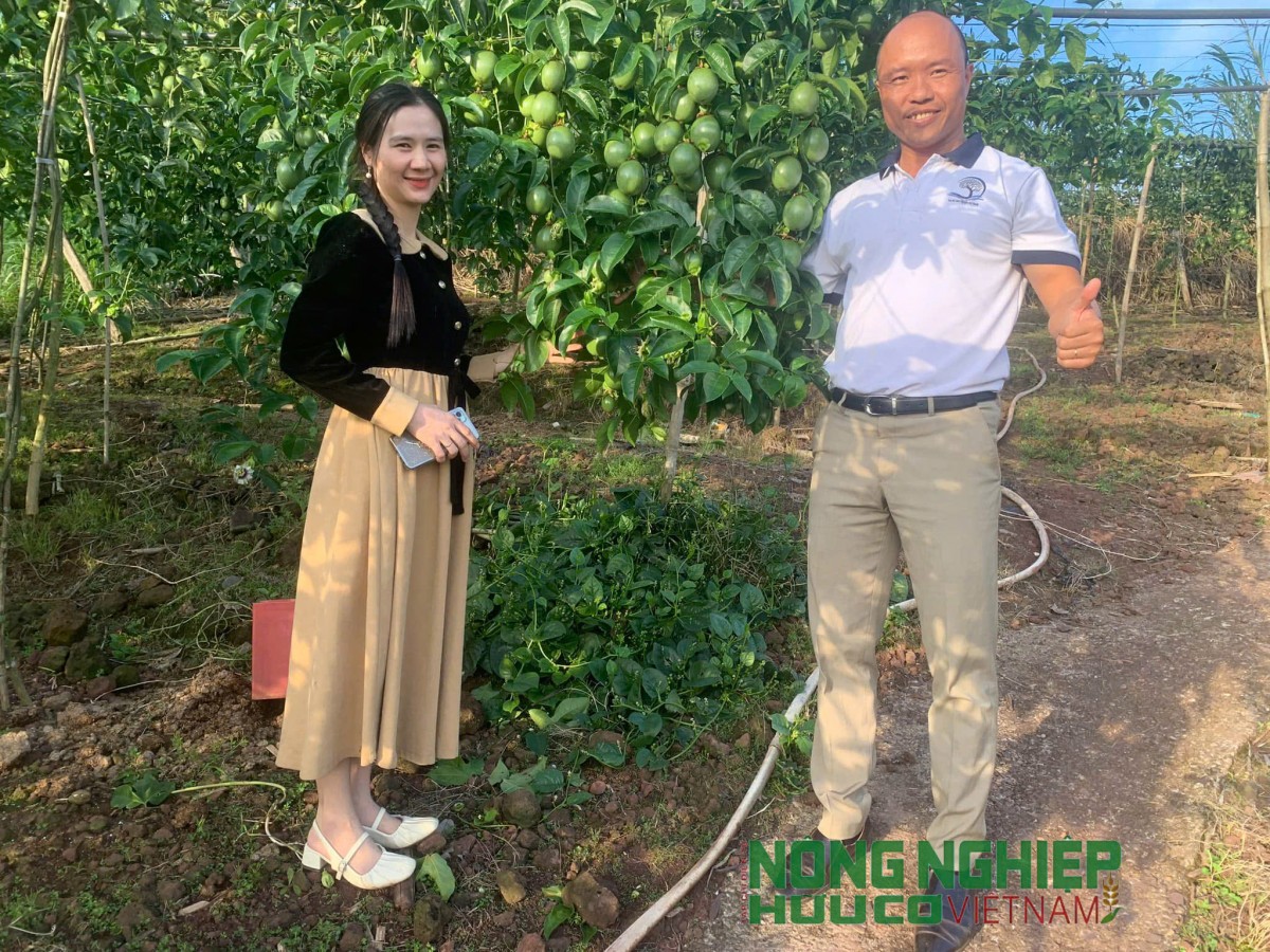 Giải bài toán nâng tầm nông sản xuất khẩu