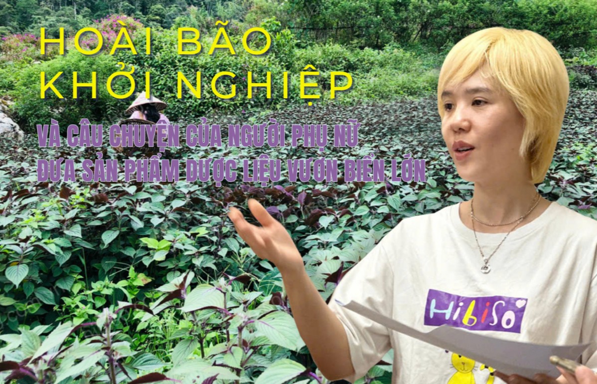 Khát vọng khởi nghiệp và câu chuyện người phụ nữ đưa sản phẩm dược liệu vươn biển lớn