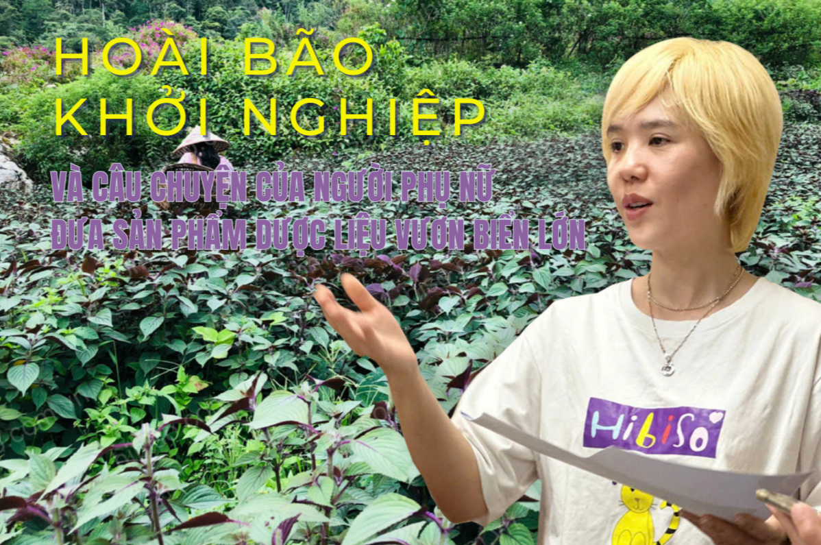Hoài bão khởi nghiệp và câu chuyện của người phụ nữ đưa sản phẩm dược liệu vươn biển lớn