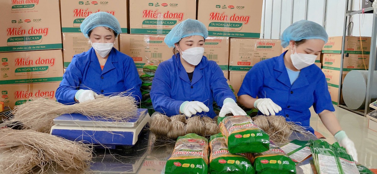 Đẩy mạnh phát triển nông, lâm nghiệp theo hướng sản xuất hàng hóa tập trung, mở rộng liên kết sản xuất