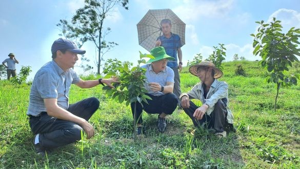 Bắc Kạn kiểm tra tiến độ thực hiện dự án xây dựng mô hình thâm canh và nhân giống hồng không hạt LT-1