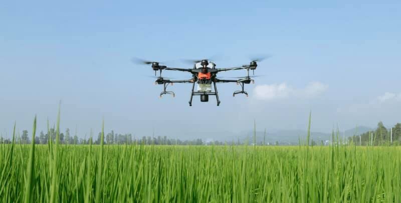 Hiệu quả và bền vững bước chuyển mình tất yếu của nông nghiệp hiện đại