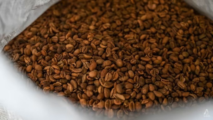 Chuyển giao công nghệ rang cà phê bằng củi gạch nối giữa truyền thống và hiện đại