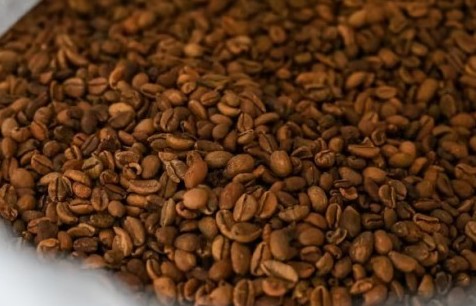 Chuyển giao công nghệ rang cà phê bằng củi gạch nối giữa truyền thống và hiện đại