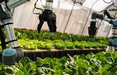 Hiệu quả và bền vững bước chuyển mình tất yếu của nông nghiệp hiện đại